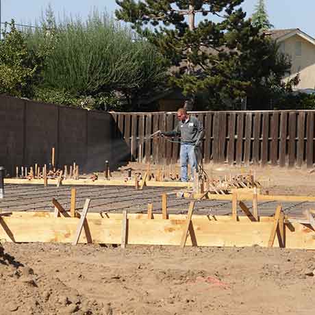 Termite Control